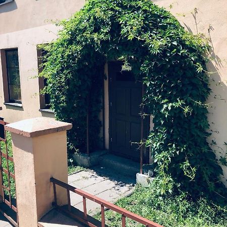 Apartamentai Klaipedos Senamiestyje 克莱佩达 外观 照片