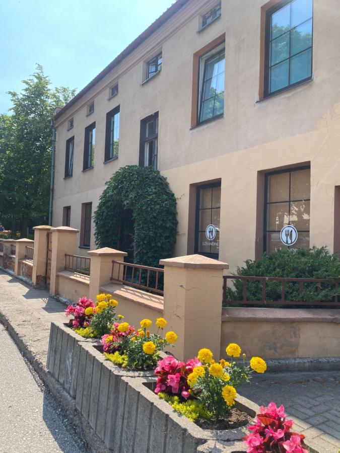 Apartamentai Klaipedos Senamiestyje 克莱佩达 外观 照片